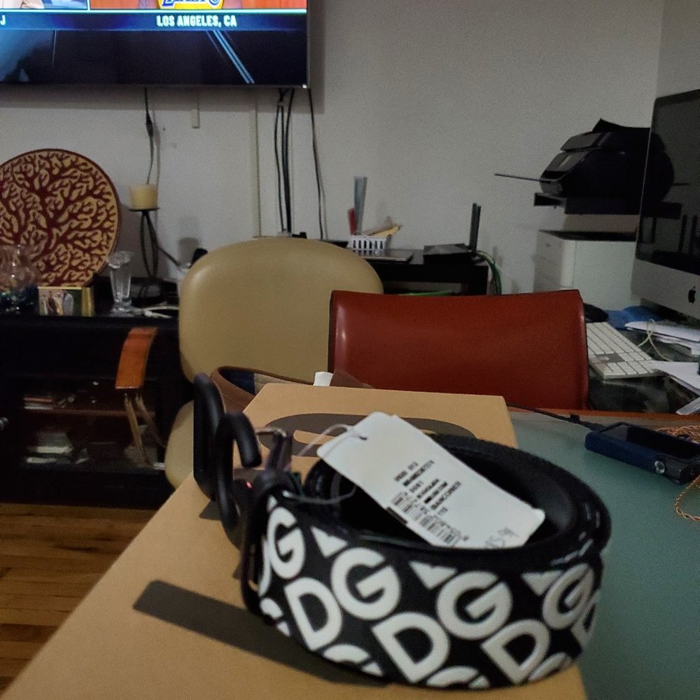 D&G belt